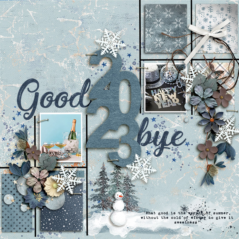 FF_jan19_AD_LG_JJD_Good Bye 2023