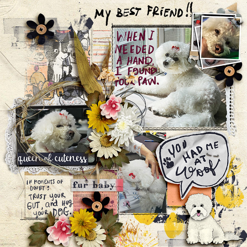 FF_jul18_LBW_NBK_My Best Friend
