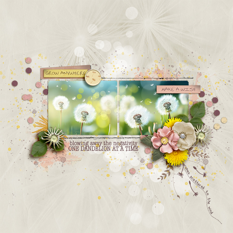 FF_may9_EHS_Grow Anywhere