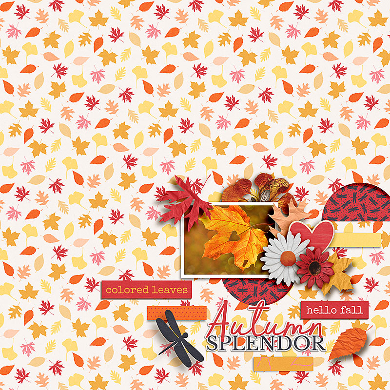 FF_sept22_ngd_Soco_Autumn Splendor