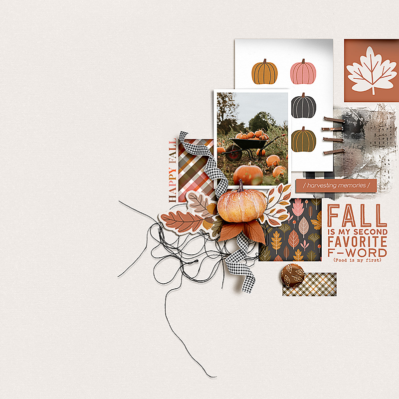FF_sept29_MPM_Soco_Happy Fall