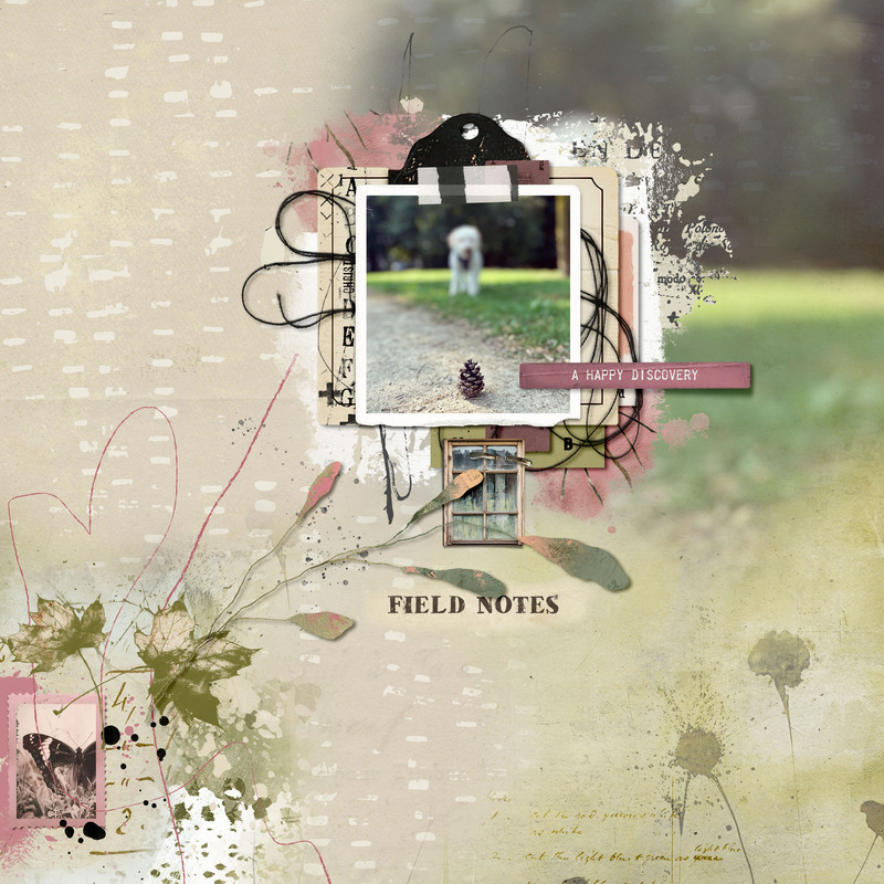 Field Notes