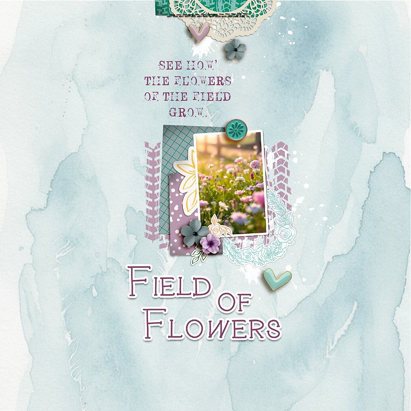 Field Of Flowers