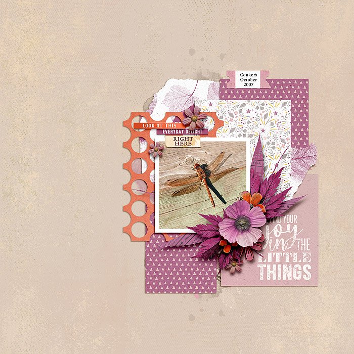 Find your joy in the little things.jpg