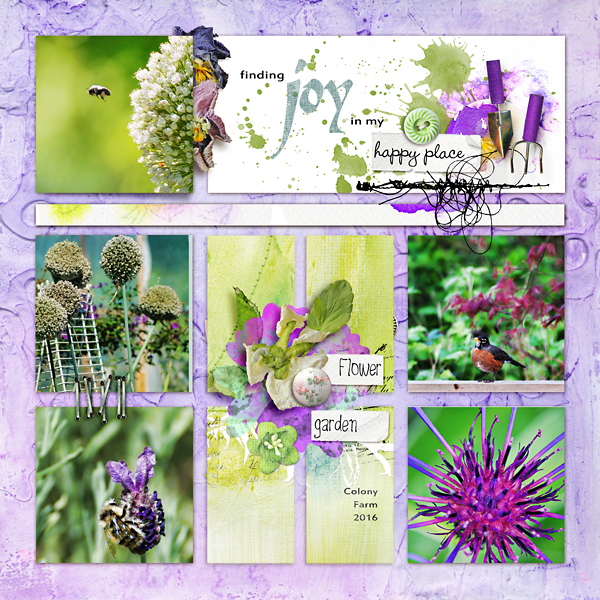 Finding Joy