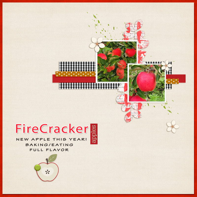 Firecracker- Apple Picking 2023 10-21 - Pg 1