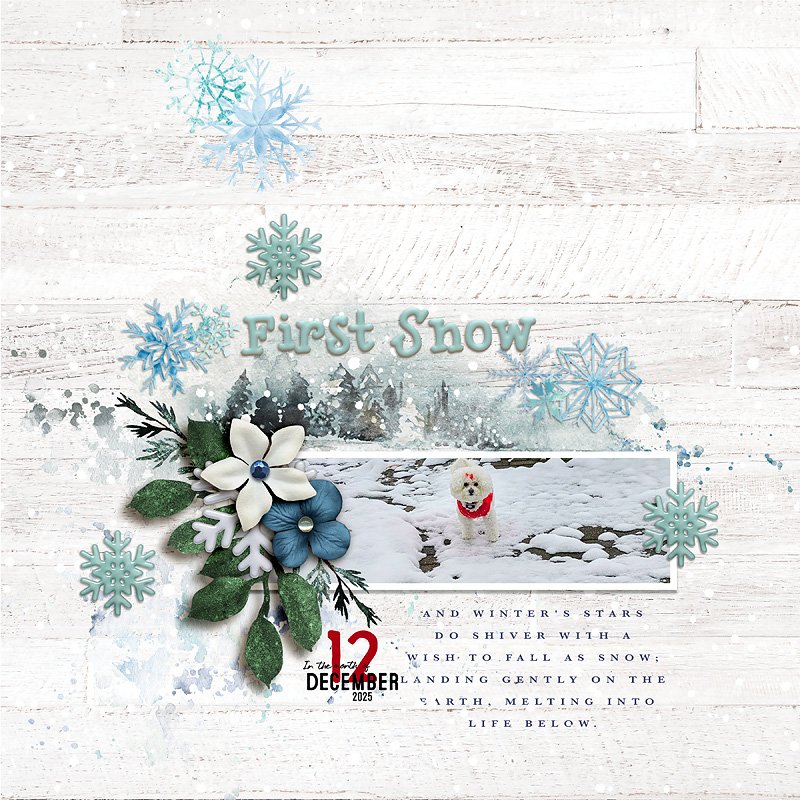First Snow