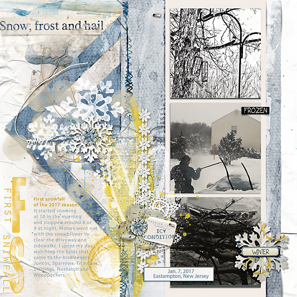 First Snowstorm of the 2017 Winter Season (SWL MIS Templ. Chall. Jan 7, 2017)