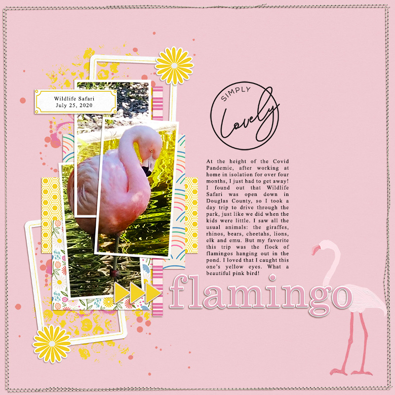 Flamingo