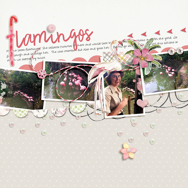 Flamingos