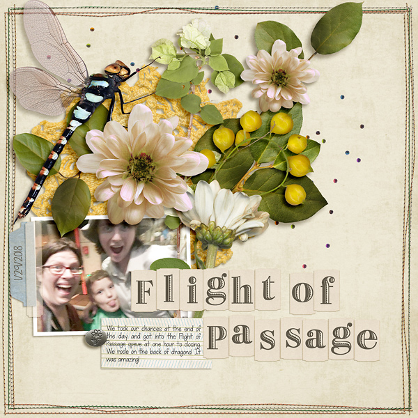Flight of Passage