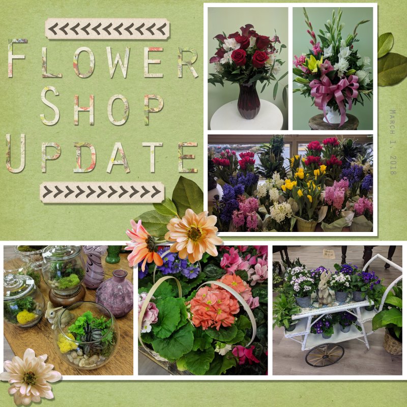 Flower Shop Update 3-1-2018