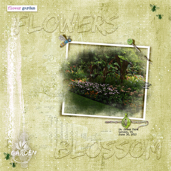 Flowers Blossom