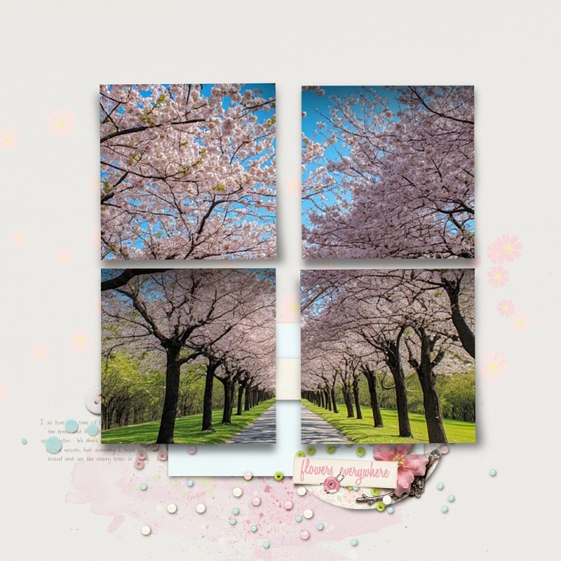 Flowers Everywhere