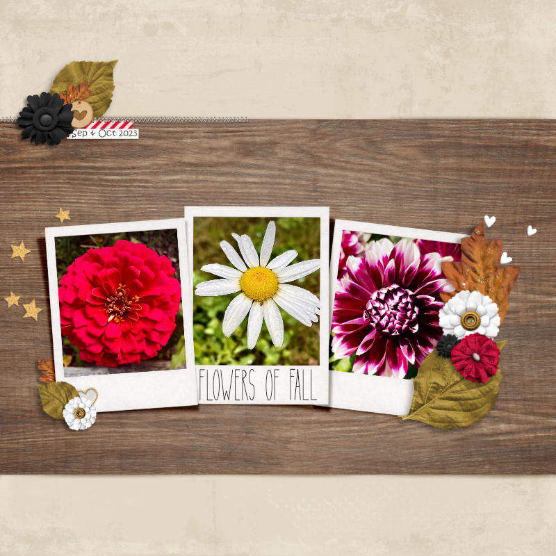 Flowers Of Fall