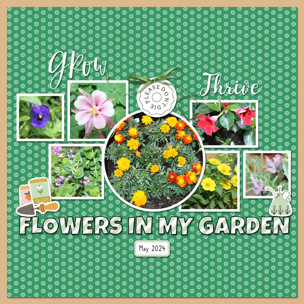 Flowers