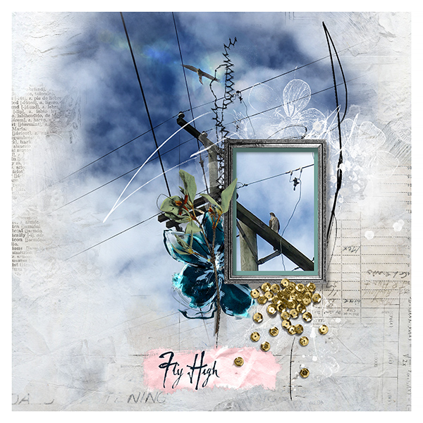 Fly High
