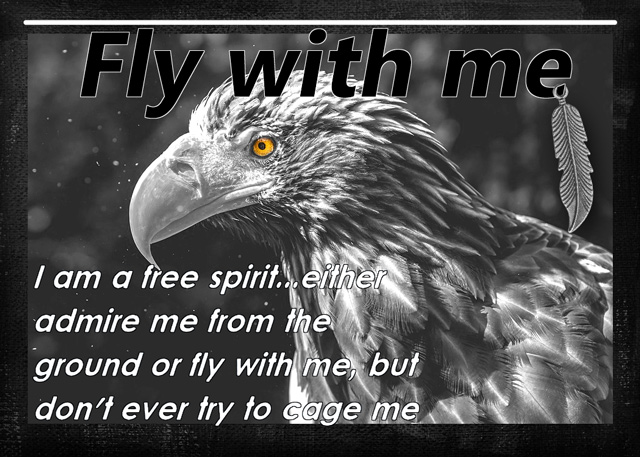 Fly-with-me