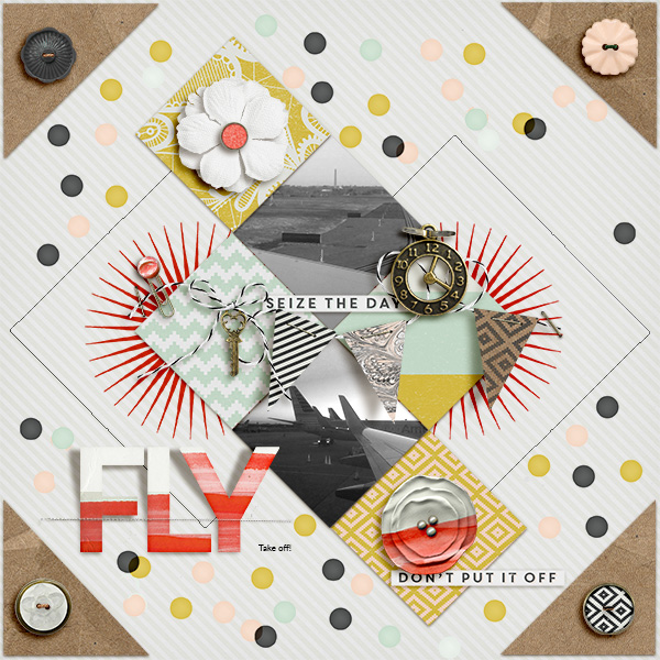 Fly