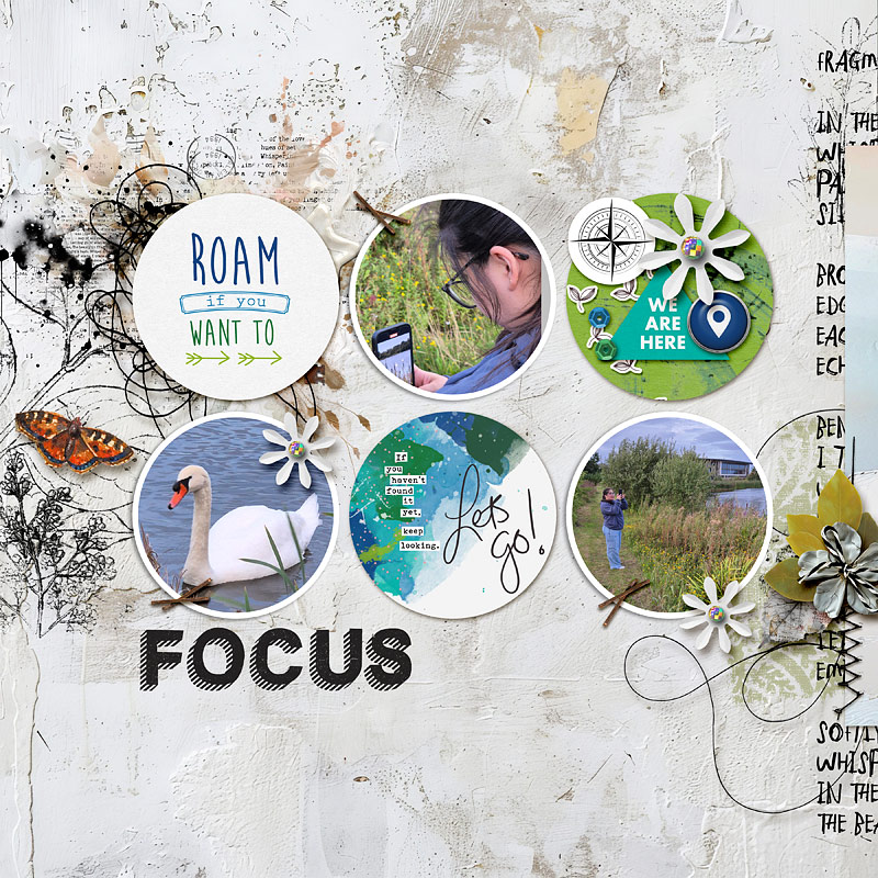 Focus