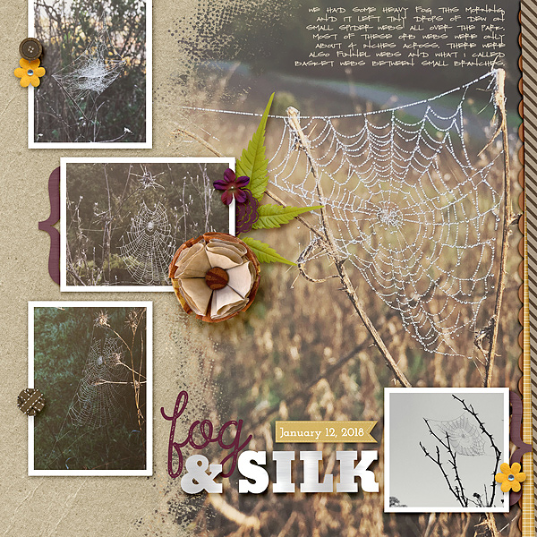 Fog & Silk