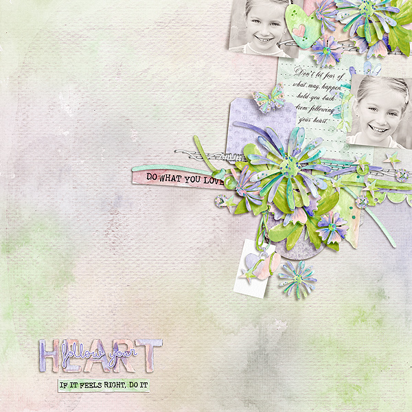 follow-your-heart
