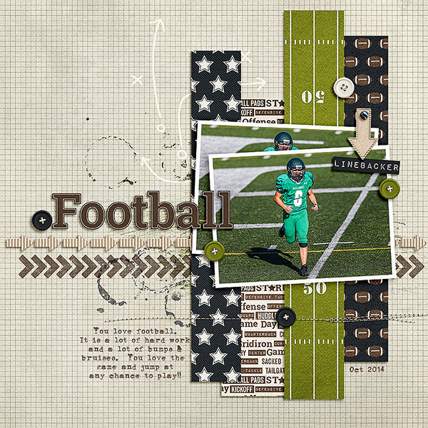 Football2014_web