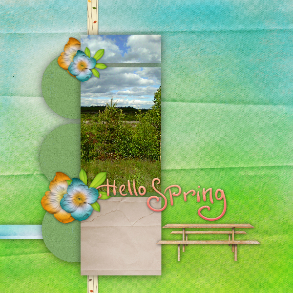 Forest - Spring