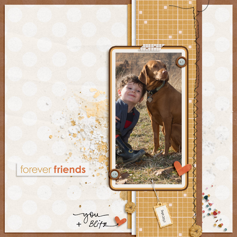 Forever Friends