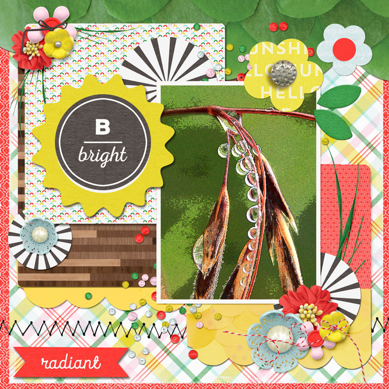 Found on the Trail