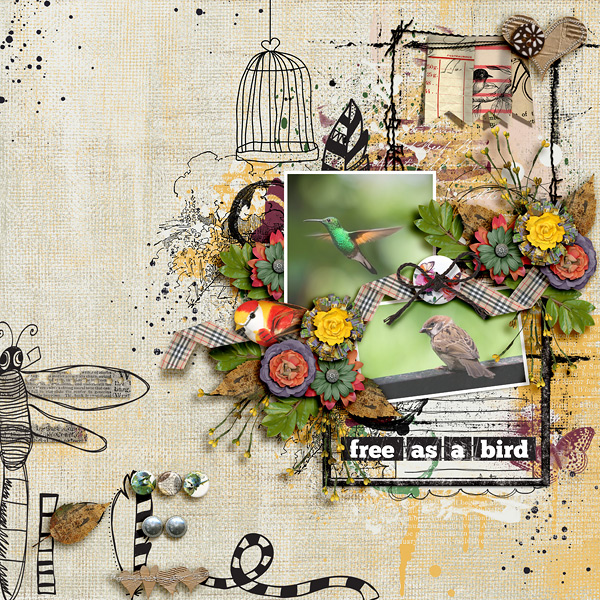 Free