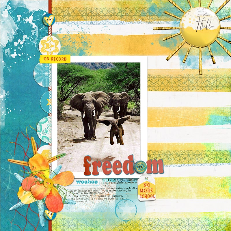 Freedom_lgrieveson_challenge_tp_june