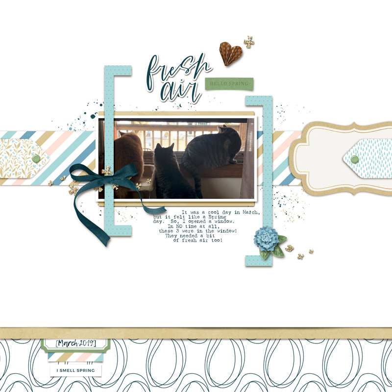 Fresh Air | March 2019