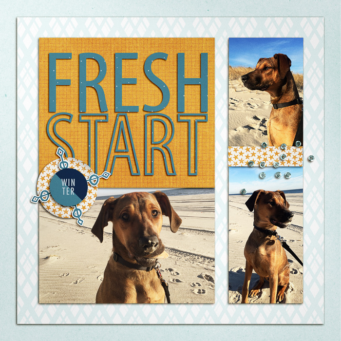 Fresh R