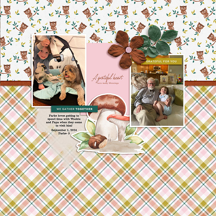 Froggy Friday 11/15- Grateful Heart