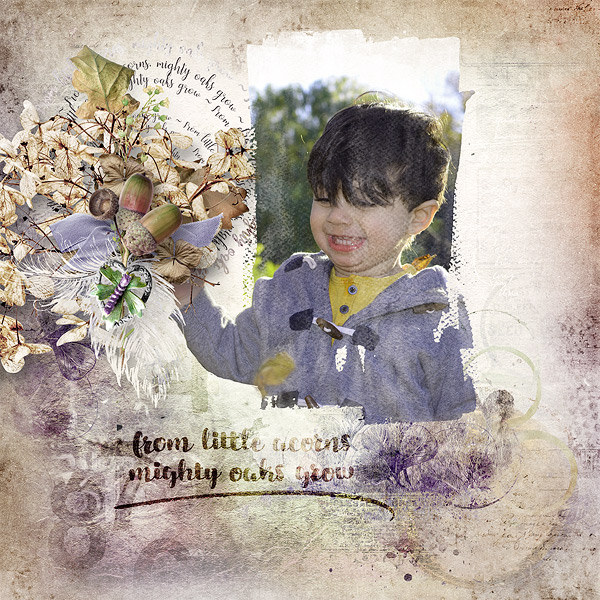from little acorns mighty oaks grow
