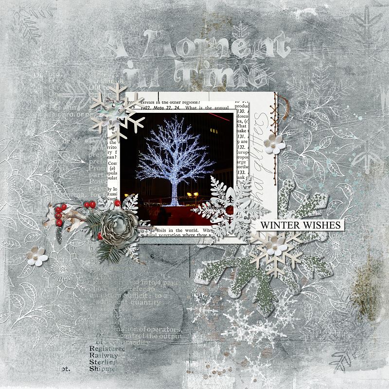 Frozen in Time