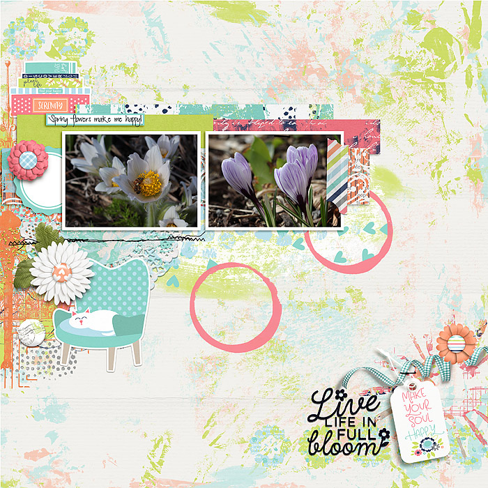 Full Bloom