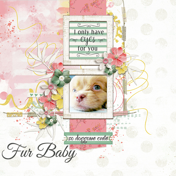 Fur Baby