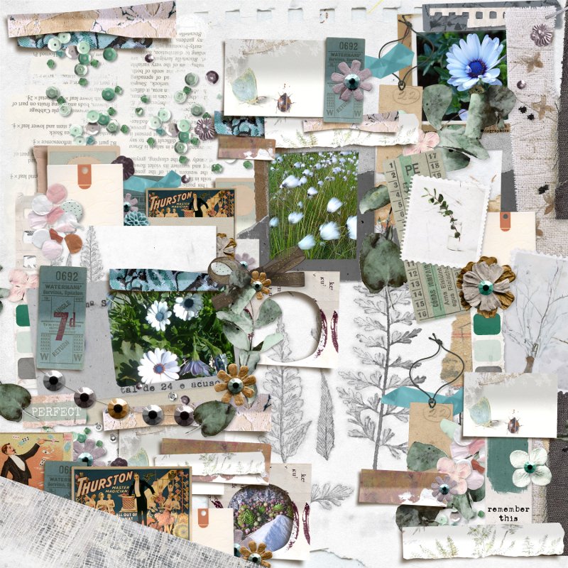 Garden.jpg