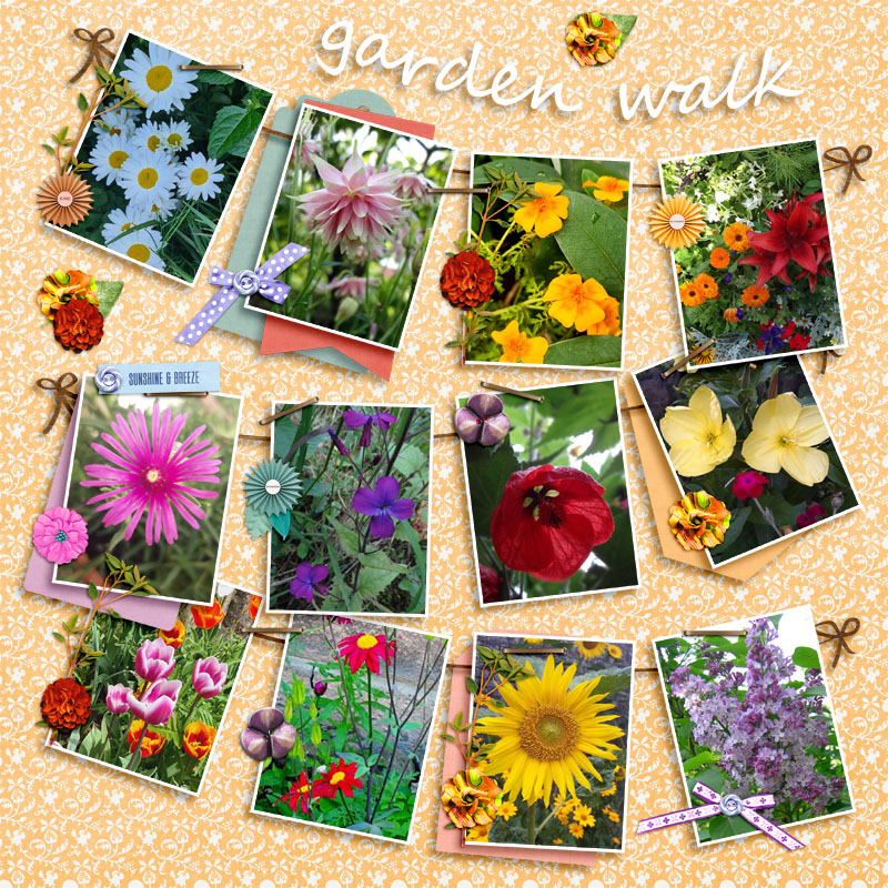 Garden Walk