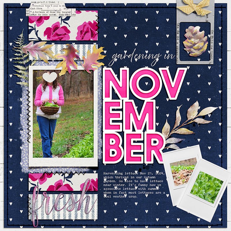 Gardening in November