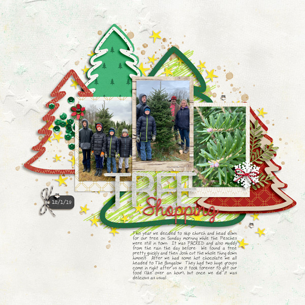 Getting Christmas Tree 2019