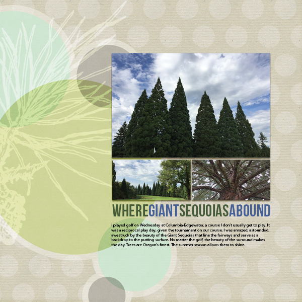 Giant Sequoias Web