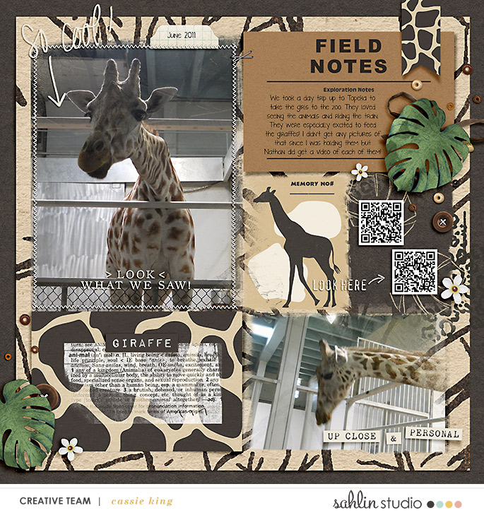 Giraffe Feeding