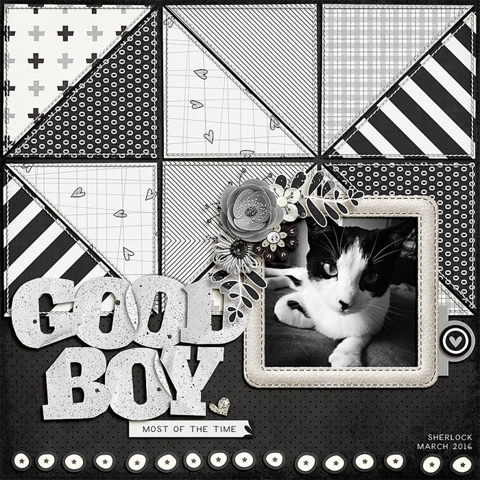Good boy