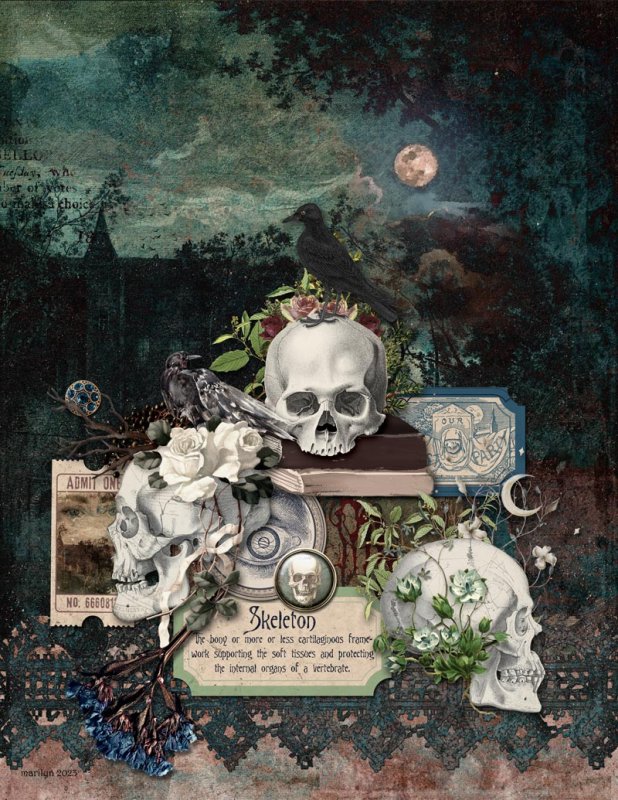Goth-&-Skulls