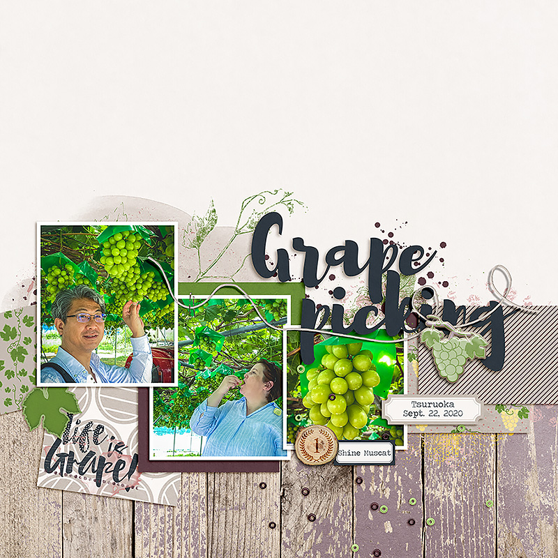 Grape Picking