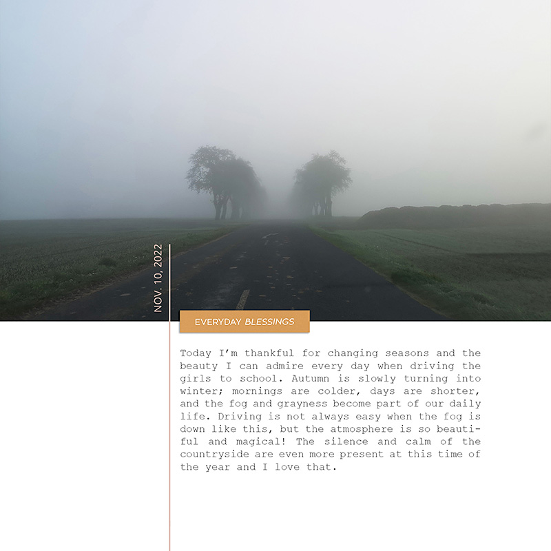 Gratitude journal 2022 - Day 10