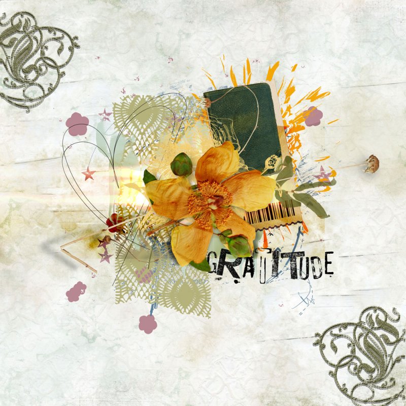 Gratitude